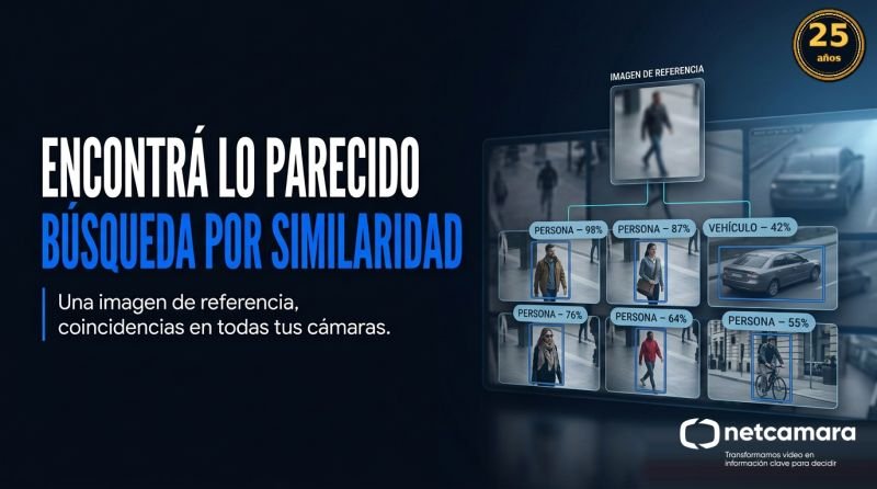 Búsqueda por similitud